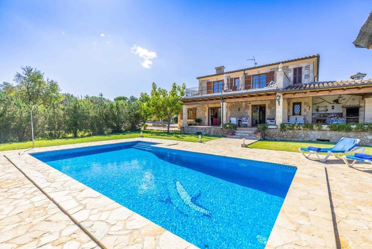 L'olivar Pollenca