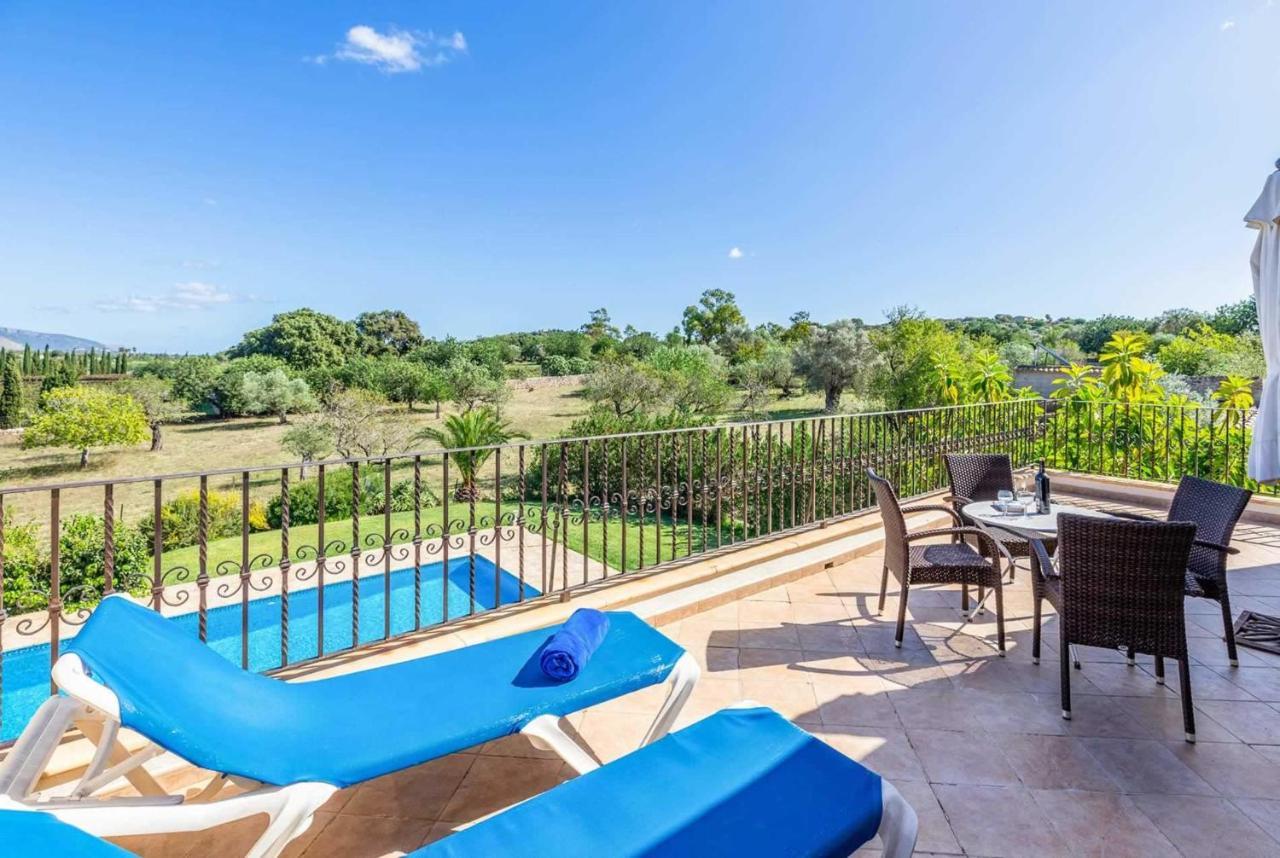 L'olivar Pollenca