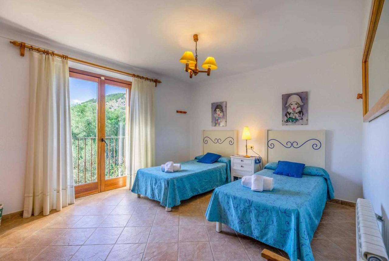 L'olivar * Pollenca