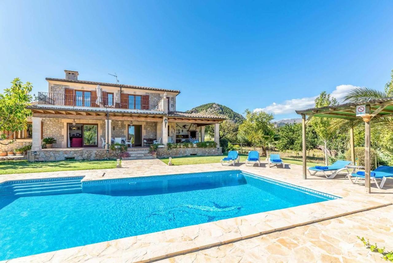 L'olivar